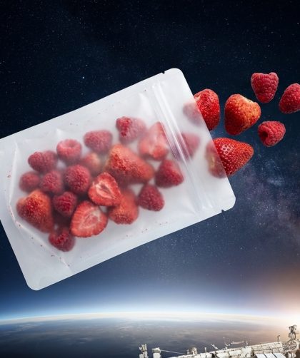 Liofilizowane truskawki i maliny w opakowaniu kosmicznym na tle ISS i Ziemi